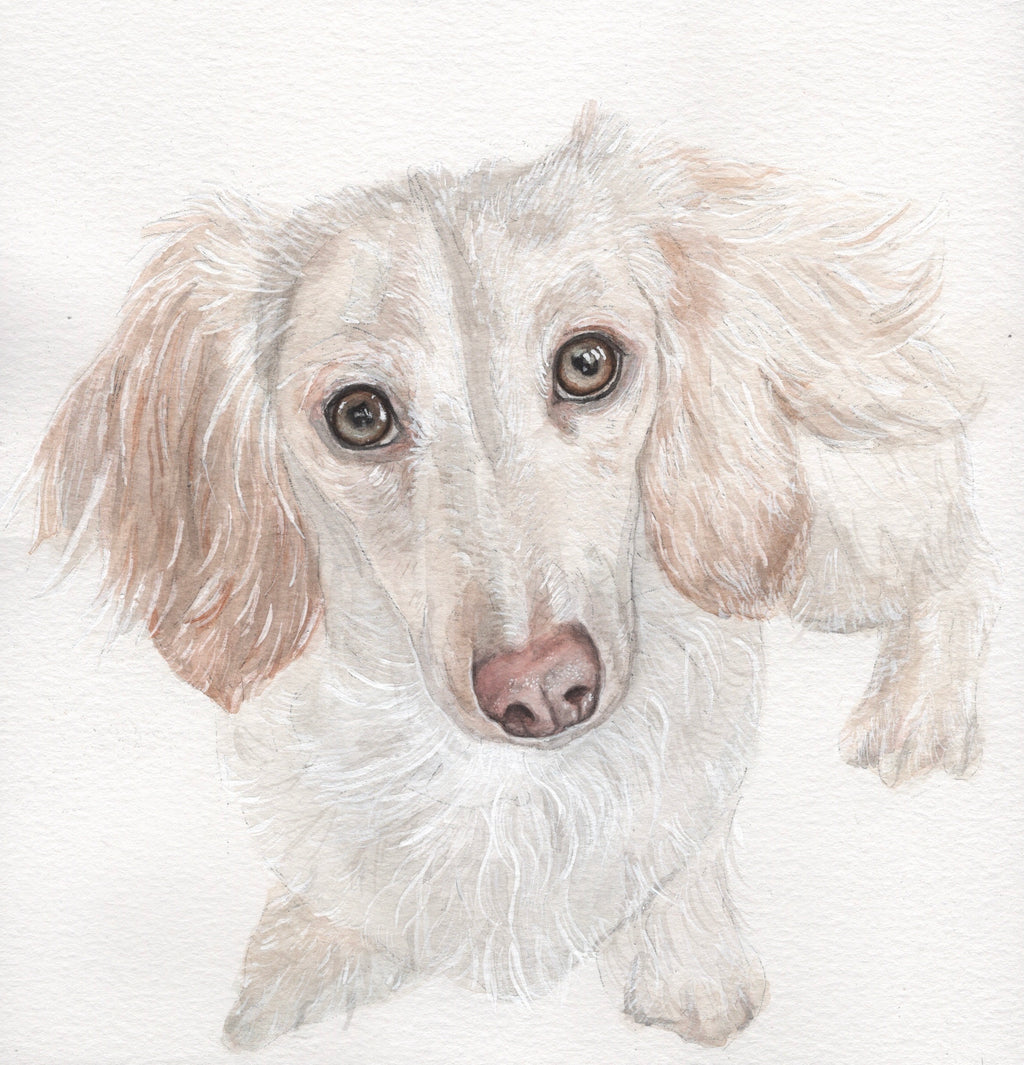 Custom Watercolour Pet Portrait