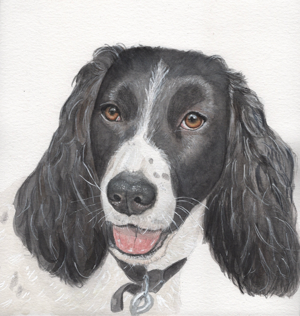 Custom Watercolour Pet Portrait