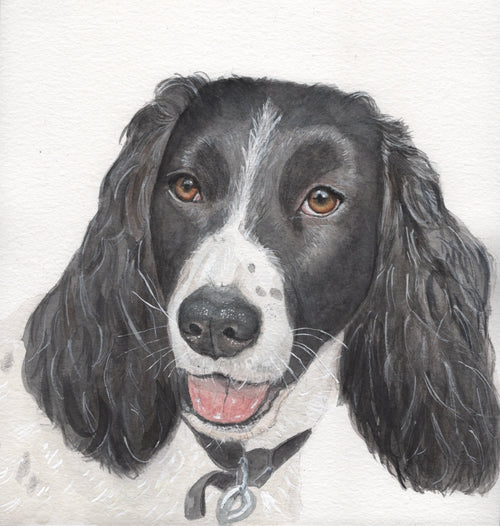 Custom Watercolour Pet Portrait