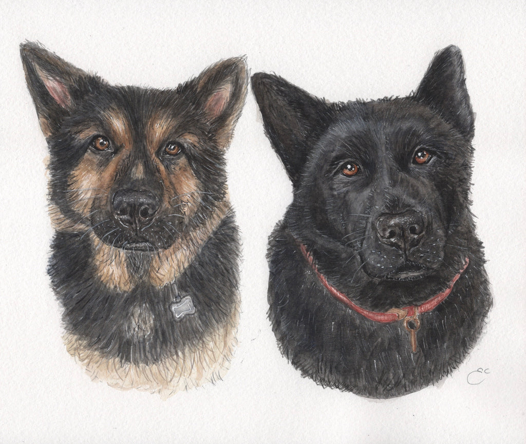 Custom Watercolour Pet Portrait