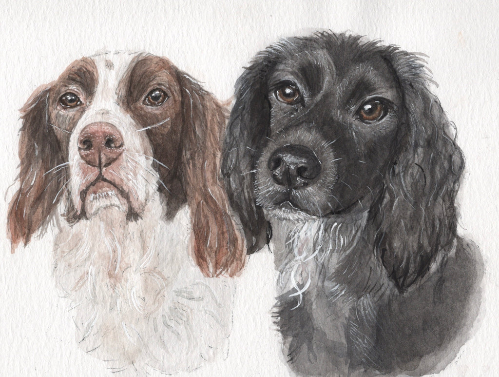 Custom Watercolour Pet Portrait