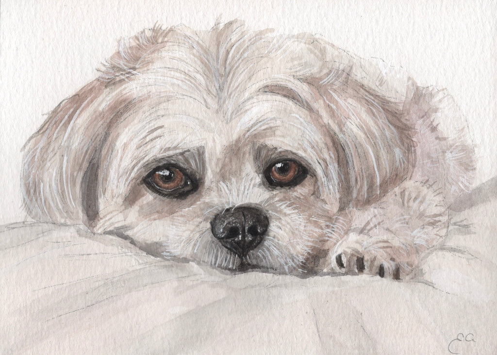 Custom Watercolour Pet Portrait